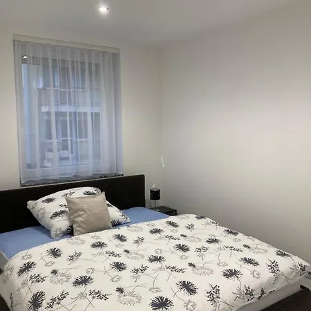 Apartmán Swiss Luxury *