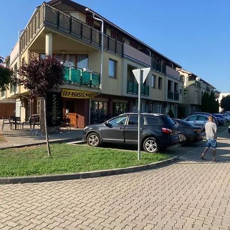 Swiss Luxury דירה *